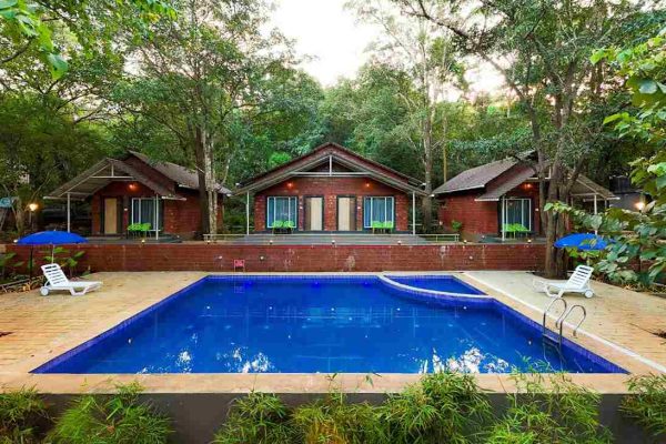 Rain Forest Dandeli