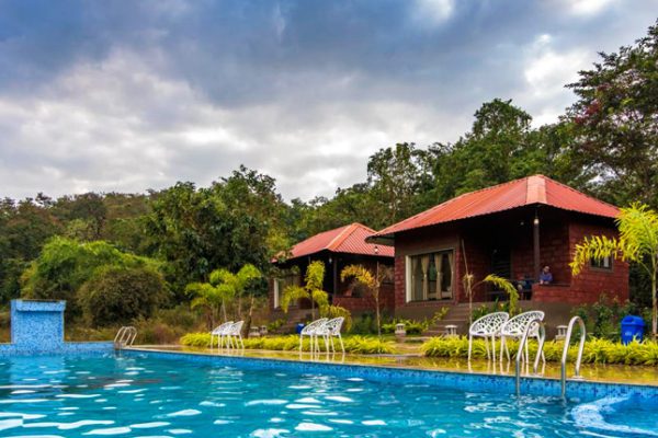 Jungle View Pool Resort